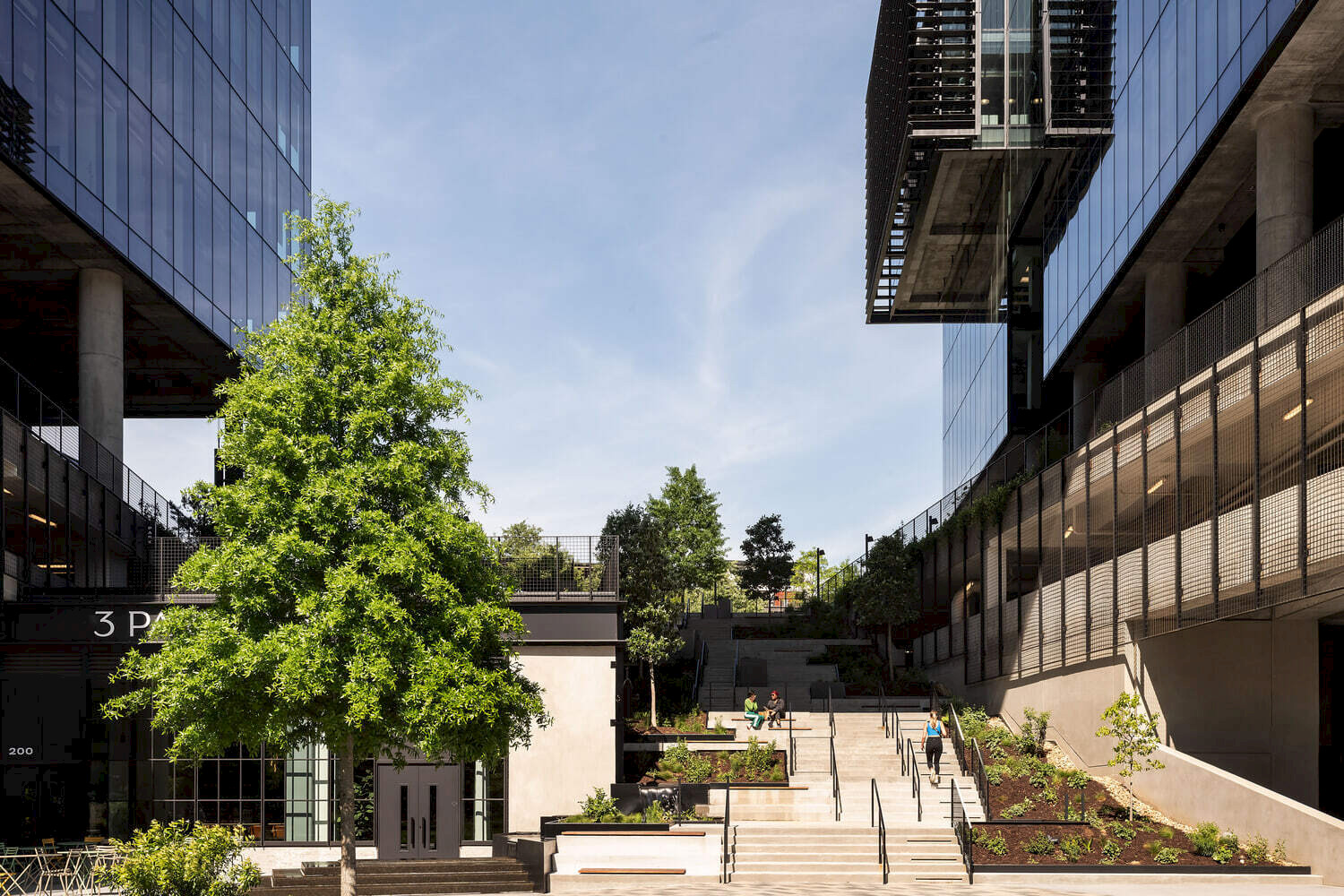 View_of_building_Matthew_Williams